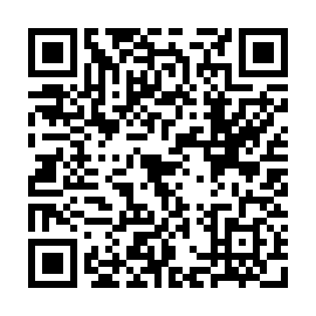 QR code for plate SGY-2383