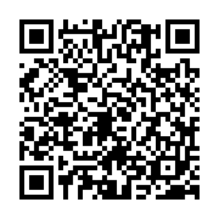 QR code for plate SHJ-3539