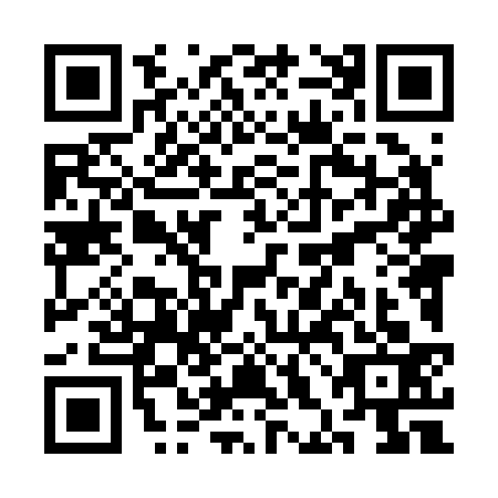 QR code for plate SHL-2338