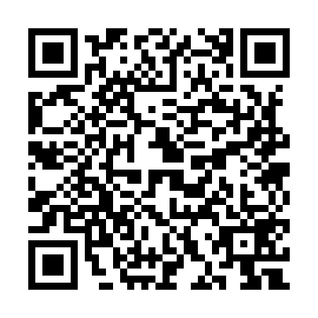 QR code for plate SHS-9596