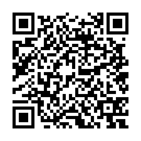 QR code for SIG-0349
