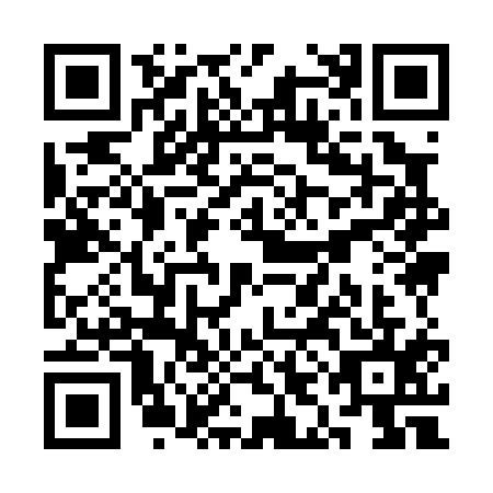 QR code for SII-0153