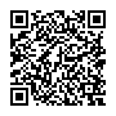 QR code for SII-9428