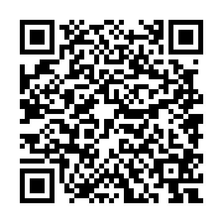 QR code for SIN-0049