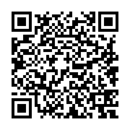 QR code for SIN-9390