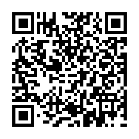 QR code for SIN-9771