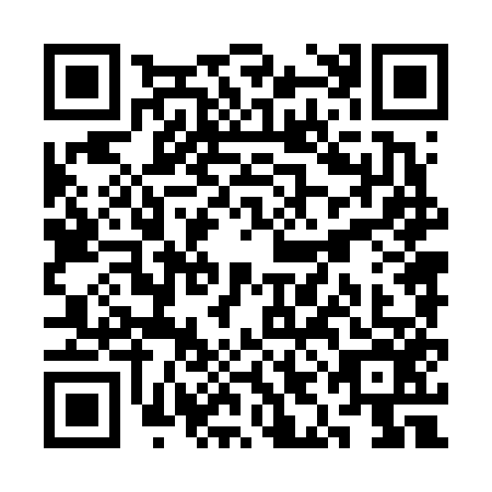 QR code for plate SIN-6565