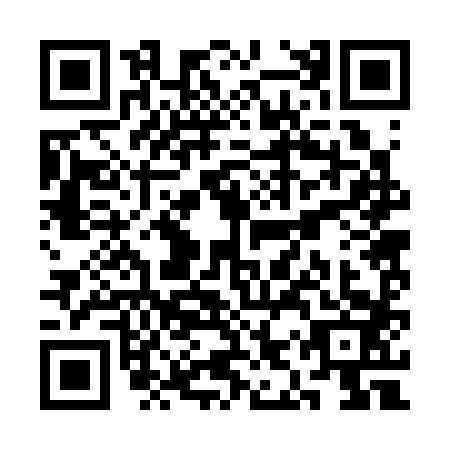 QR code for SIR-3833