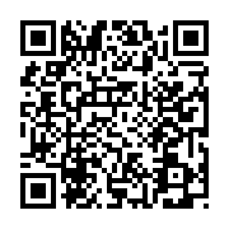 QR code for SJX0633