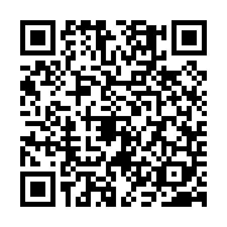 QR code for SKC0493
