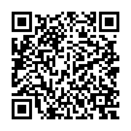 QR code for SMM-0038