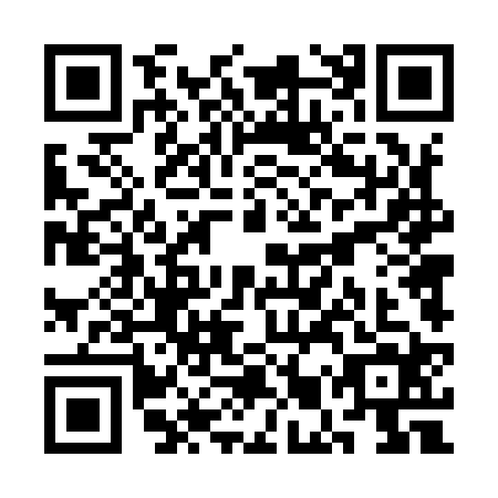 QR code for SMT9246