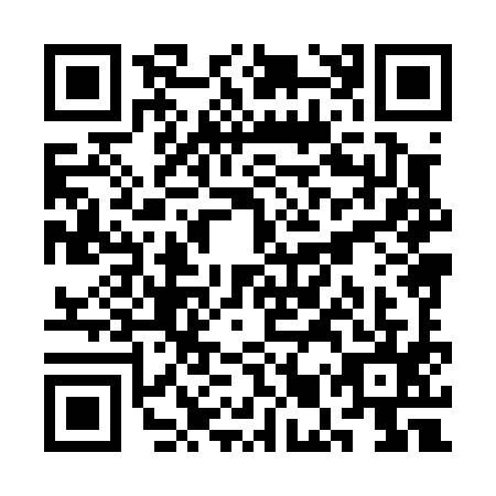 QR code for plate SMX-0955