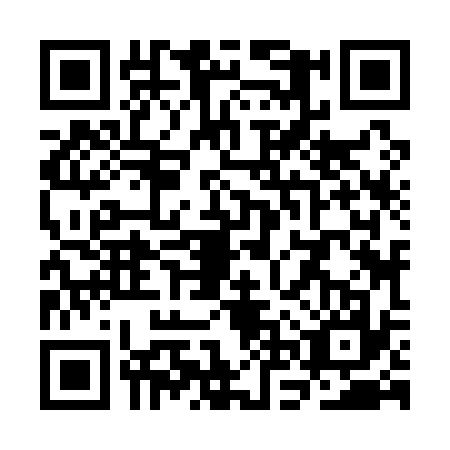 QR code for plate SNZ-1371