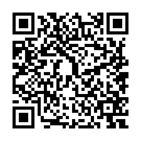 QR code for plate SON-9663