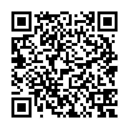 QR code for plate SRM-6386