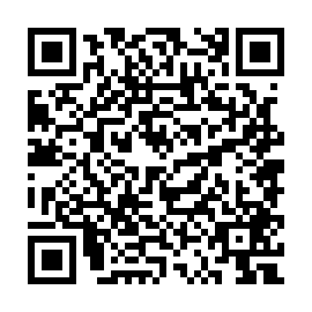QR code for plate SSN-1496