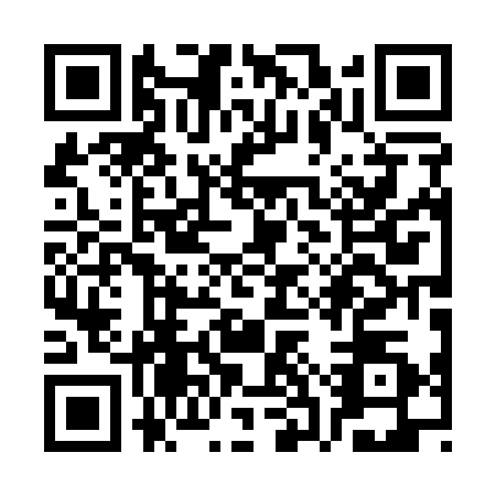 QR code for plate SSP-1304
