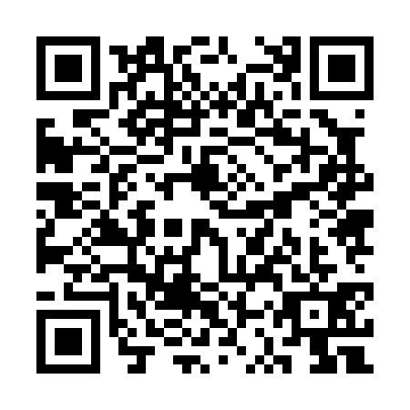 QR code for plate SSZ-0312