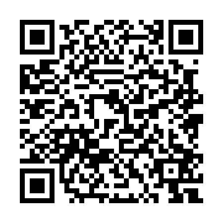 QR code for plate STX-0031