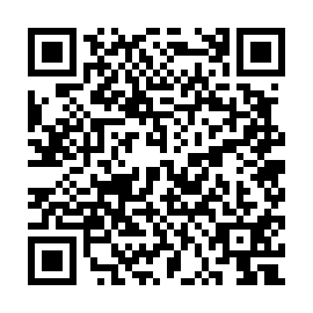 QR code for SVG-4119
