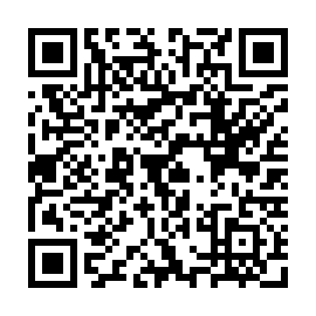 QR code for SWF-9313