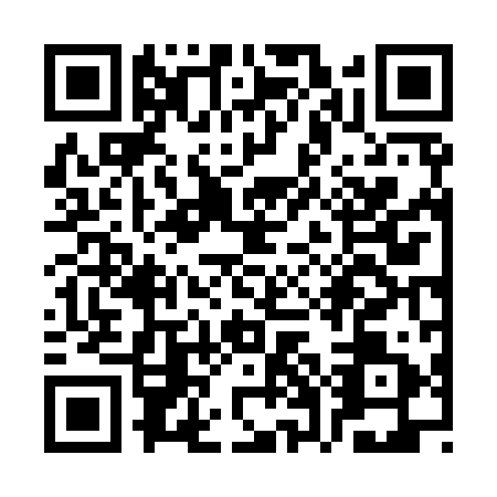 QR code for SWF-9911