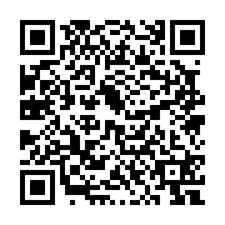 QR code for plate SYA-0206