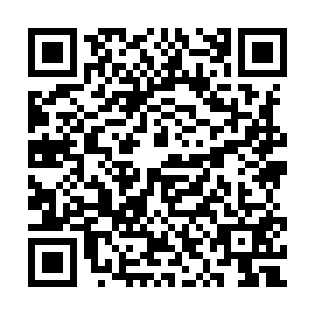 QR code for plate SYI-9511