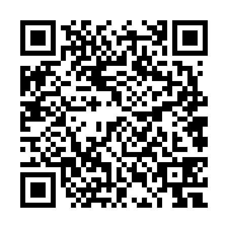QR code for plate TEF-6381
