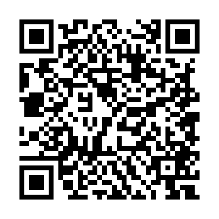 QR code for THD9498