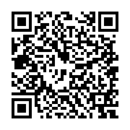 QR code for plate THJ-5919