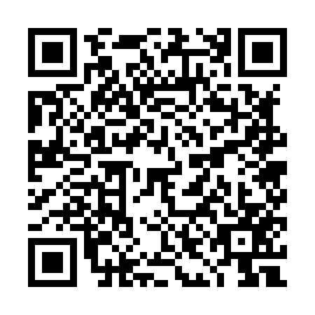 QR code for TIG-8579