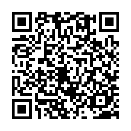 QR code for TIN3858