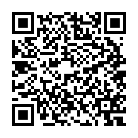 QR code for plate TIR-2153
