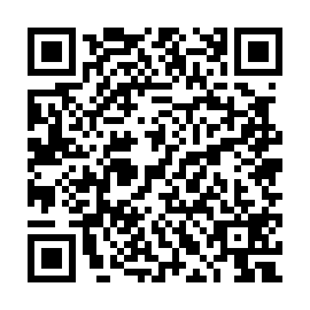 QR code for plate TLE-0198