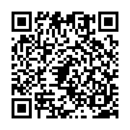 QR code for TNO-3976