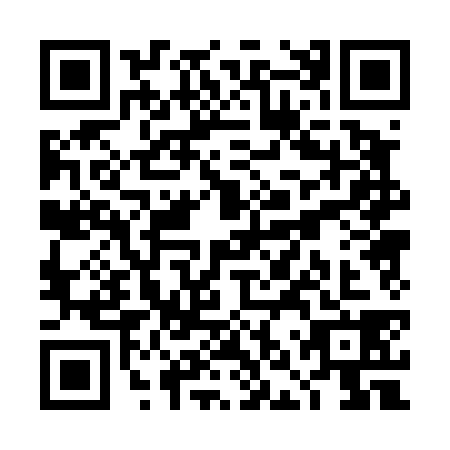 QR code for TNP4389