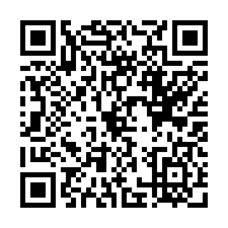 QR code for TOY2063