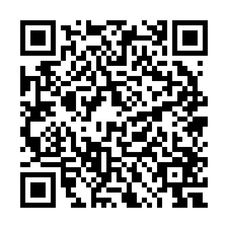 QR code for TPA-2463