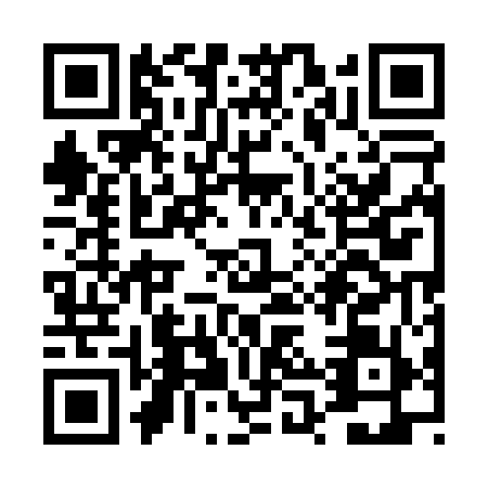 QR code for TPU-0595