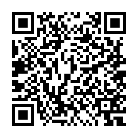QR code for TQB9533