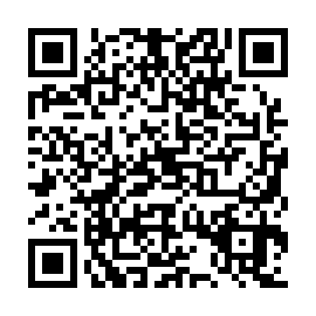 QR code for plate TQQ-1306