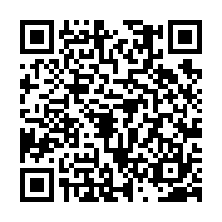 QR code for plate TSL-6376