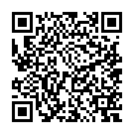 QR code for TZZ-1524