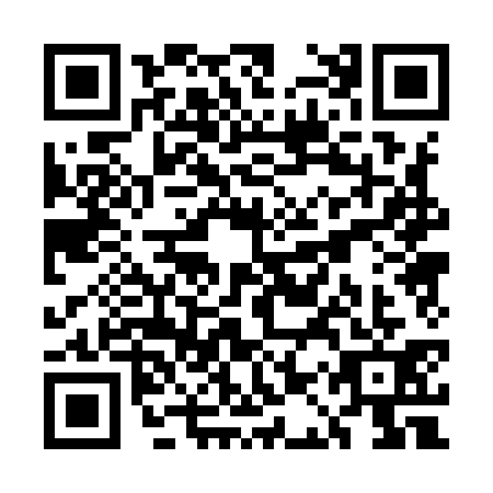 QR code for plate UAP-9311