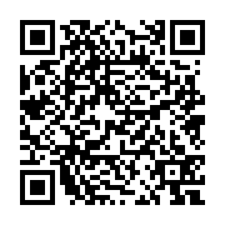 QR code for plate UBP-7334