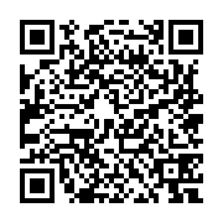 QR code for UDE-9787