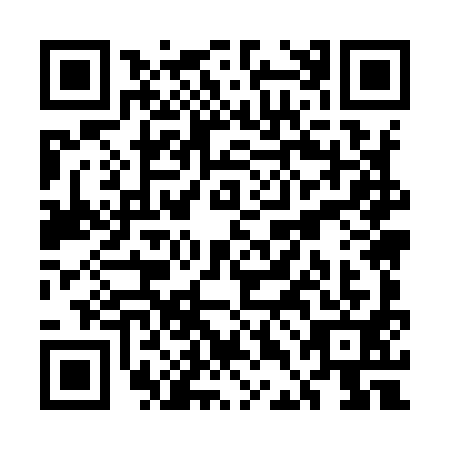 QR code for UDM-9919