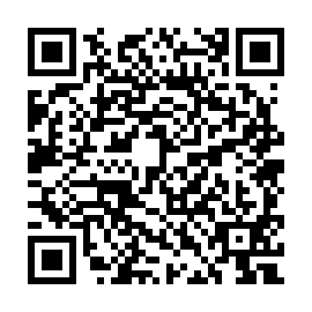 QR code for UDO-2911